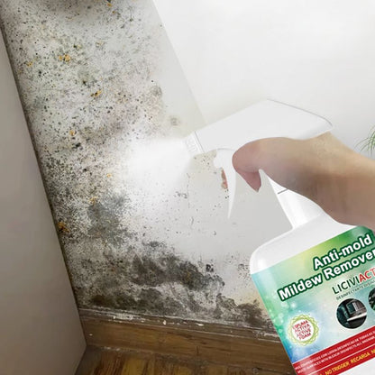 🔥Hot Sale🔥Anti-mold Mildew Remover